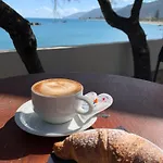 Testa Di Monaco - Basic *