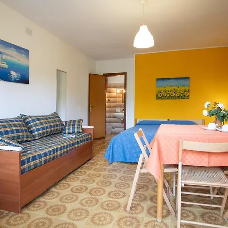 Testa Di Monaco - Basic *