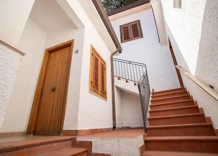 Testa Di Monaco - Basic