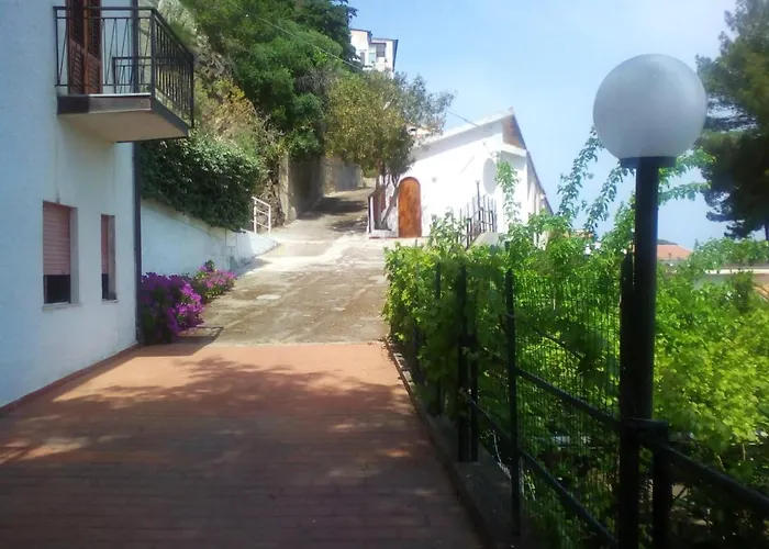 Testa Di Monaco - Basic Capo dʼOrlando