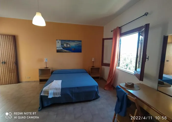 Testa Di Monaco - Basic * Capo dʼOrlando