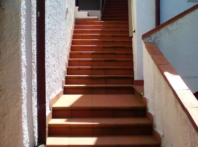 Testa Di Monaco - Basic Capo dʼOrlando