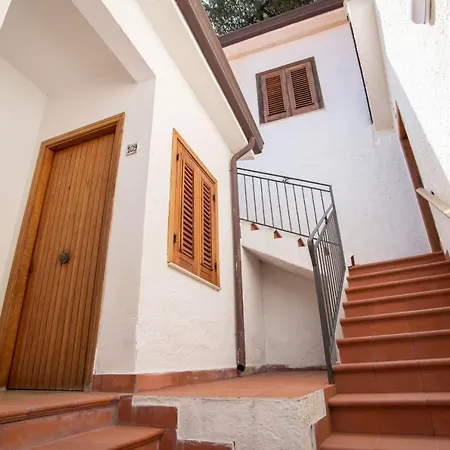 Testa Di Monaco - Basic