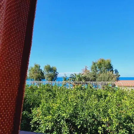 Testa Di Monaco - Basic