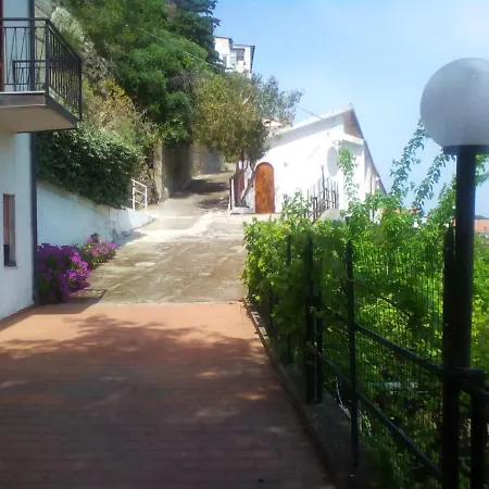 Testa Di Monaco - Basic 卡普多兰多