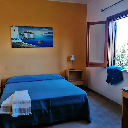 Testa Di Monaco - Basic *