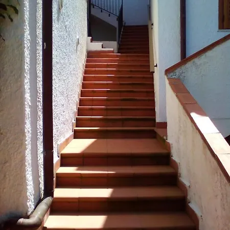 Testa Di Monaco - Basic Capo dʼOrlando