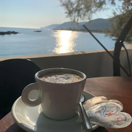 Testa Di Monaco - Basic Capo dʼOrlando