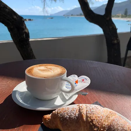 Testa Di Monaco - Basic *