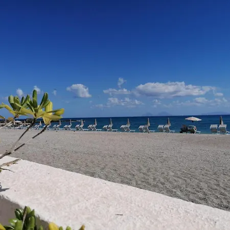 Testa Di Monaco - Basic * Capo dʼOrlando