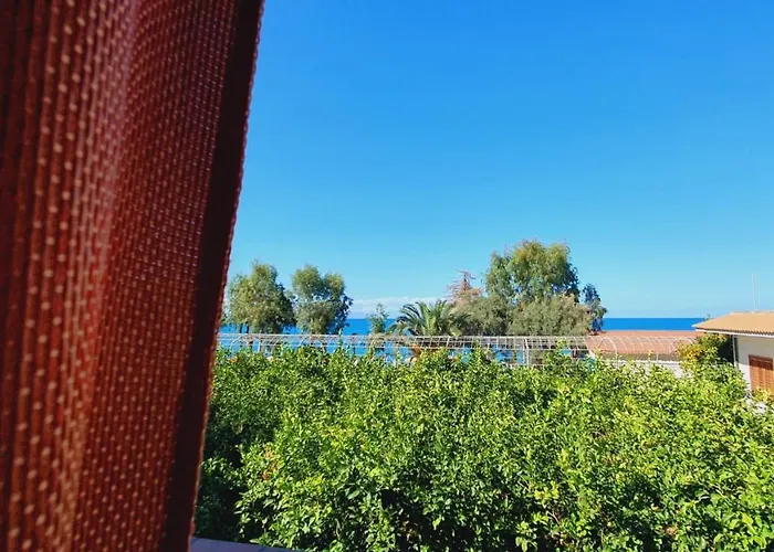 Testa Di Monaco - Basic