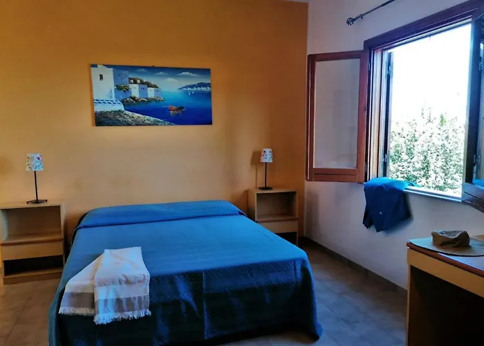 Testa Di Monaco - Basic *