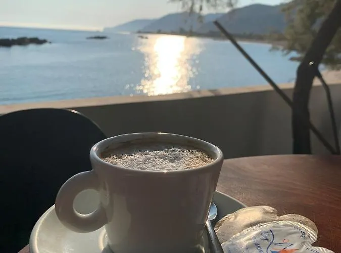 Testa Di Monaco - Basic Capo dʼOrlando