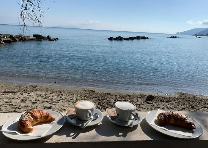 Testa Di Monaco - Basic Hotel Capo dʼOrlando