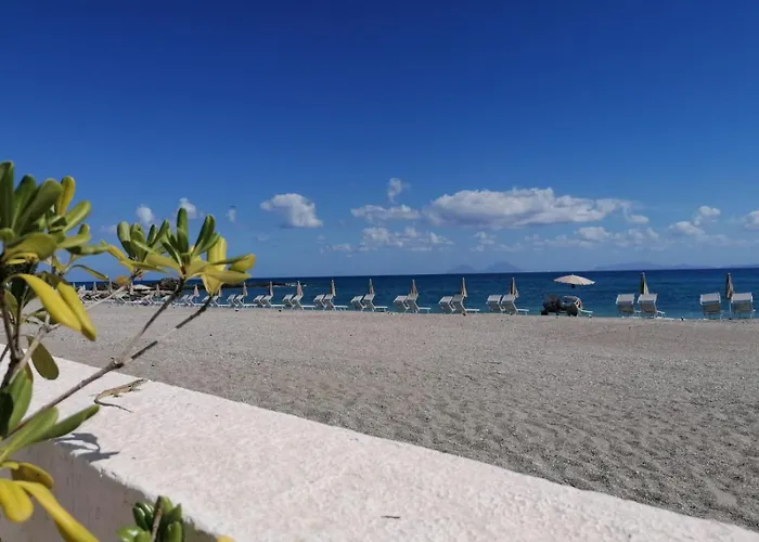 Testa Di Monaco - Basic * Capo dʼOrlando